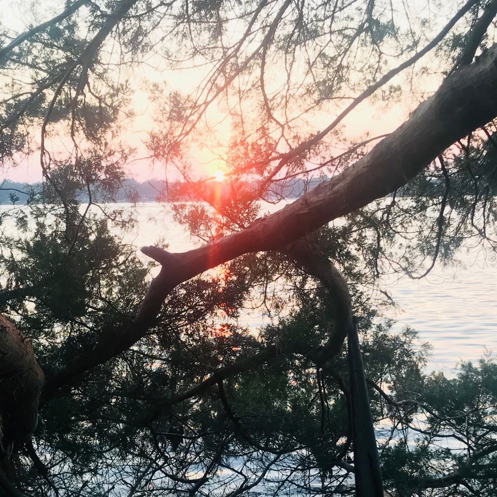 Meet your Posher, Kaylin